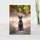 Search for germany cards Dog