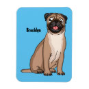 Search for pug magnets Cartoon