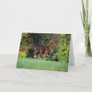 Search for rocky mountain horse Animal