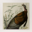 Search for turkey puzzles Illustration