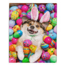 Search for bunny rabbit puzzles Funny