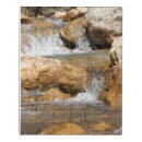 Search for 20x30 posters Nature