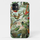 Search for hummingbird iphone cases Biology