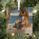 Search for north carolina ornaments Atlantic ocean