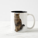 Search for maine coon cat mugs Forest