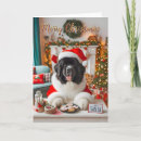 Search for landseer newfoundland Newfie