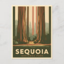 Search for sequoia national park postcards Redwood tree
