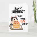 Search for cat birthday cards Pet