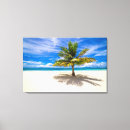 Search for palm canvas prints vacation
