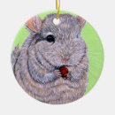 Search for chinchilla ornaments Rodent