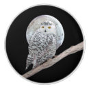 Search for moon knobs and pulls Owl
