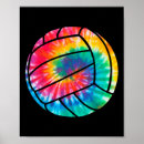 Search for beach volleyball posters Player