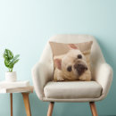 Search for french bulldog pillows Young animal