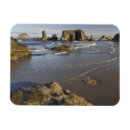 Search for oregon magnets Pacific