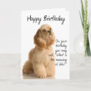 Search for cocker spaniel birthday cards Pet