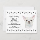 Search for dog birthday cards Chihuahua