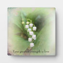 Search for lily of the valley decor Photography
