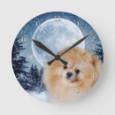 Search for animal clocks Pets