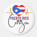 Search for puerto rico magnets Souvenir