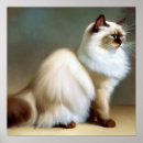 Search for birman cat Portrait