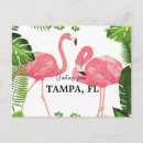 Search for tampa postcards Tropical