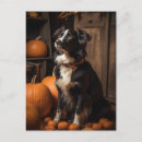 Search for pumpkin postcards Thanksgiving