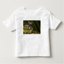 Search for tree frog tshirts Nature