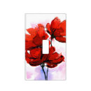 Search for acrylic light switch covers Brush