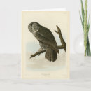 Search for owl cards Illustration