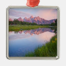 Search for jackson hole ornaments Mountain range