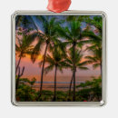Search for costa rica ornaments Island