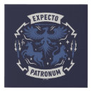 Search for harry potter patronus Magic