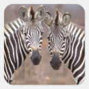 Search for kruger national park Color image