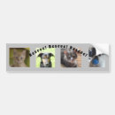 Search for dog rescue bumper stickers Pets