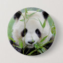 Search for panda gifts Kawaii