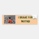 Search for bumper stickers Butterfly