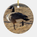 Search for goose ornaments Gander