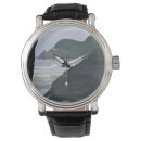 Search for lion head watches Nature