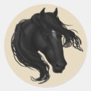 Search for black horse stickers Wild