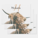 Search for highland cow wrapping paper Scottish