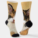 Search for womens underwear Cat