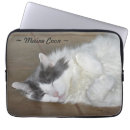 Search for maine coon gifts Gray