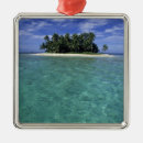 Search for belize ornaments Ocean