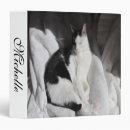 Search for cat binders Orange