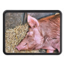 Search for pig trailer hitch covers Cute