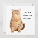 Search for cat moving announcement cards Animal