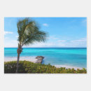 Search for surfing wrapping paper Palm tree