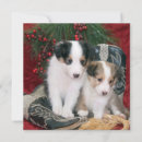 Search for sheep christmas cards Puppies