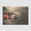 Search for cow print tissue paper Country