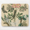 Search for butterfly mousepads Botanical